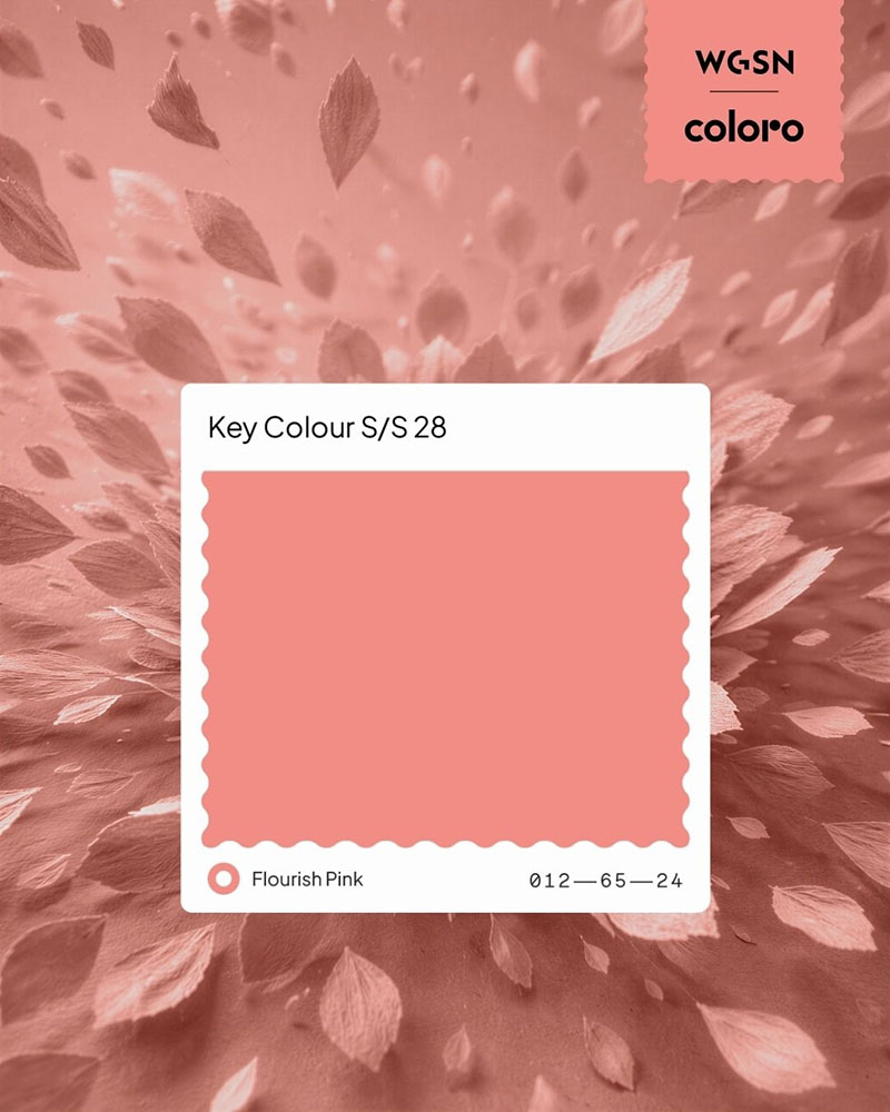 coloro 012-65-24